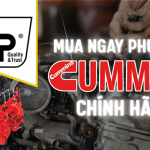 phu tung cummins chinh hang