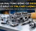 Mua Phụ Tùng Động Cơ Diesel Ở Đâu
