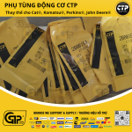 CTP (Costex) 2688154 Single Fuel Injector Seals / Bộ Seal Kim Phun 3516, 3512, 3508, 3412, C9