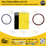 CTP (Costex) 2688154 Single Fuel Injector Seals / Bộ Seal Kim Phun 3516, 3512, 3508, 3412, C9