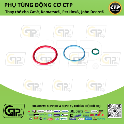CTP (Costex) 2481394 Single Fuel Injector Install Gasket Kit / Bộ Seal Kim Phun C15, C16, C18, 3406, C13, C11, C32
